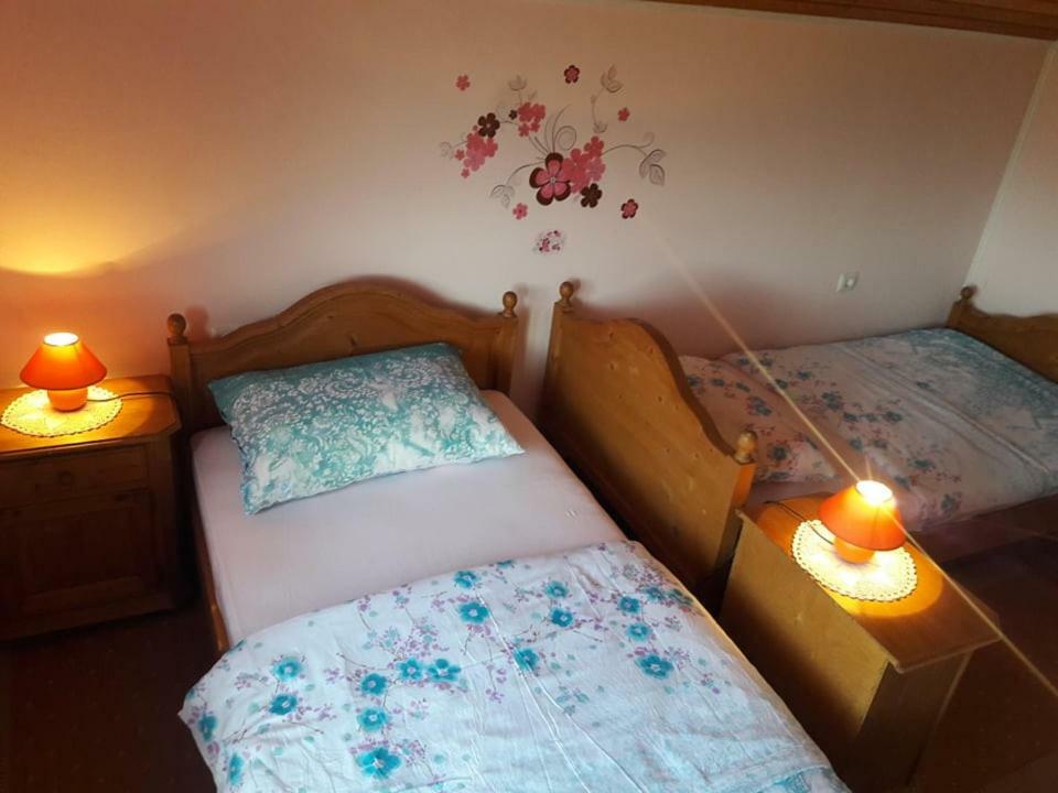 Kuca Za Odmor Anamarija Villa Ogulin Exterior foto